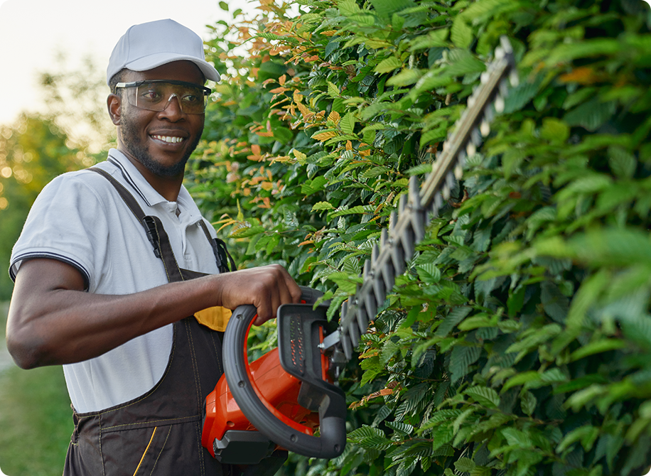 tree cutting company in Jacksonville fL