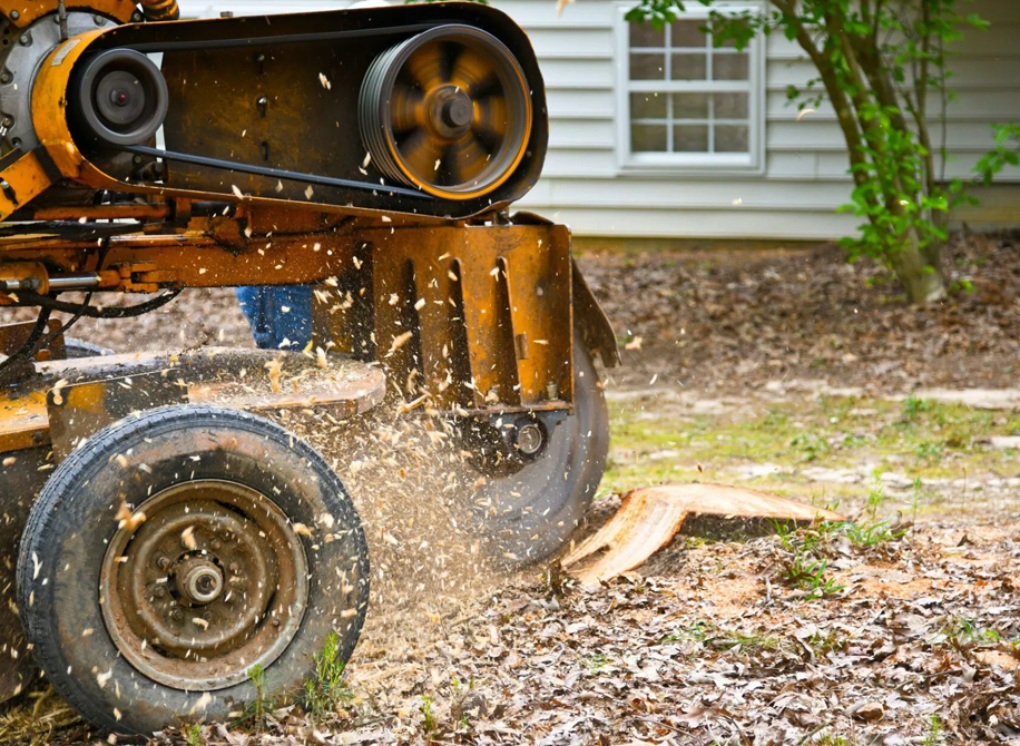 Stump Grinding Service in Jacksonville, FL