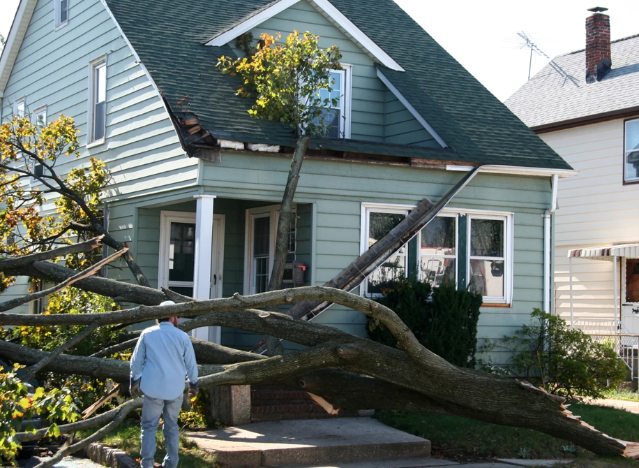 Storm Cleaning Service